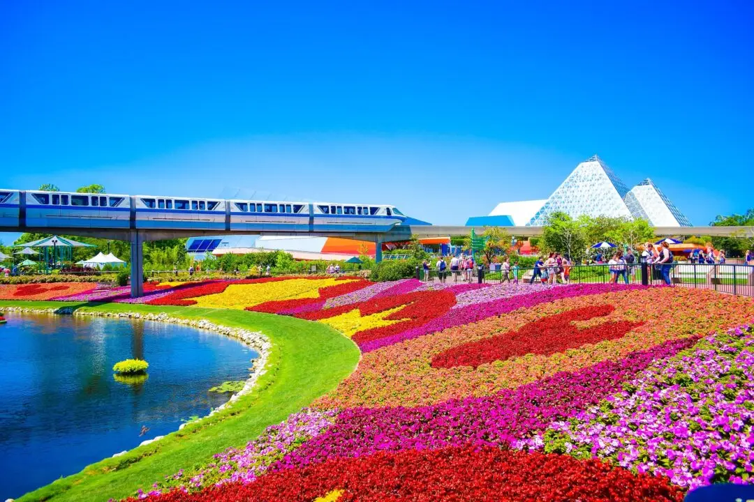 View of flowers at Walt Disney World