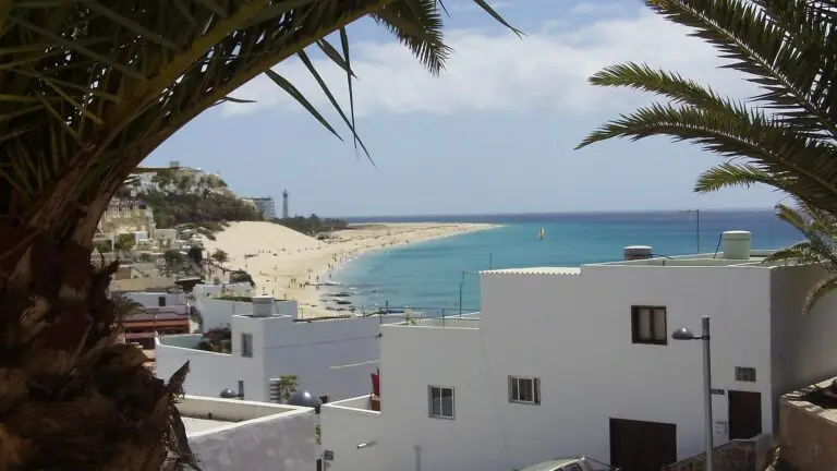 View of a sandy beach with turquoise water, white buildings in the foreground, and palm tree branches framing the scene in Fuerteventura; people can be seen on the beach under a partly cloudy sky.