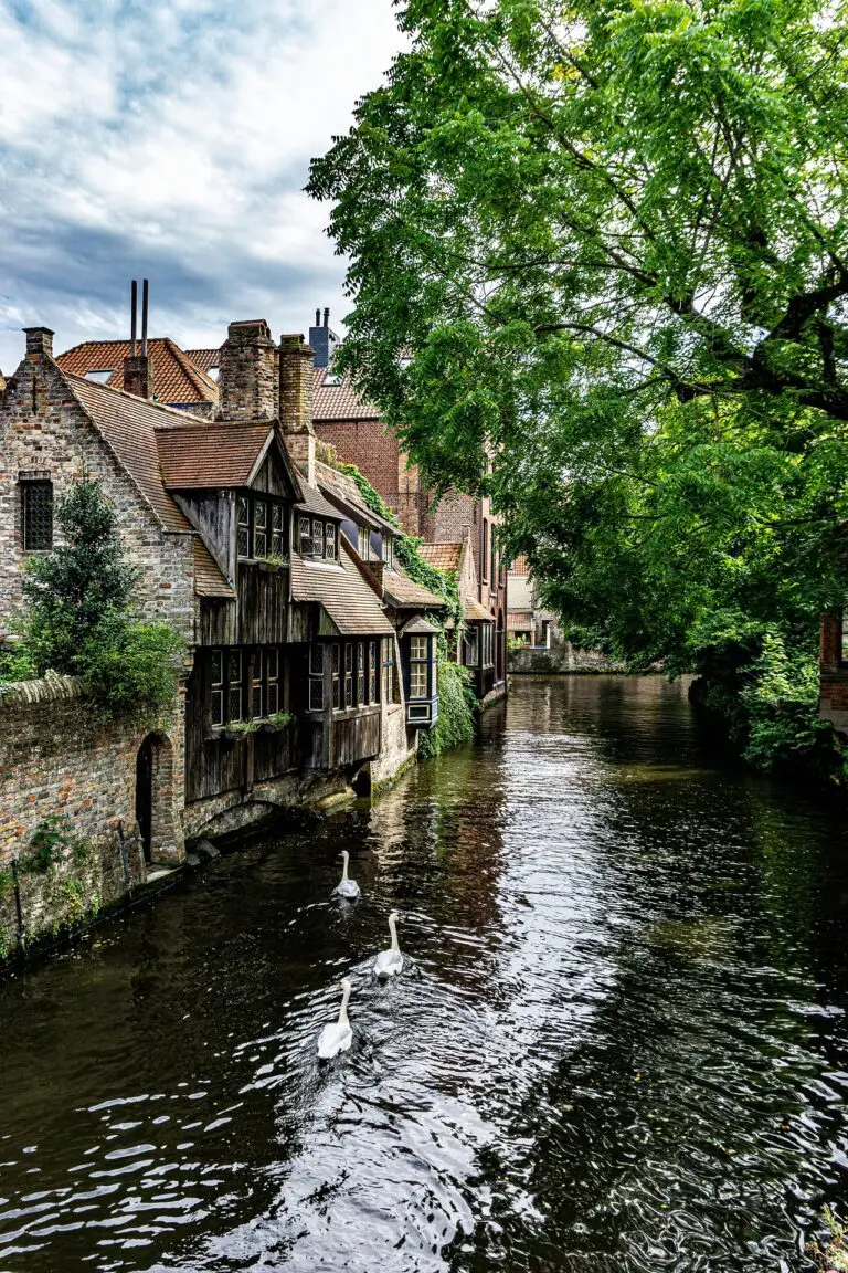 A peaceful canal in Bruges bordered by old brick houses with wooden accents and lush green trees, featuring three white swans swimming in the water under a cloudy sky.